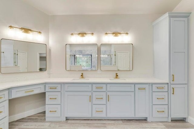 bathroom with hardwood / wood-style flooring and vanity