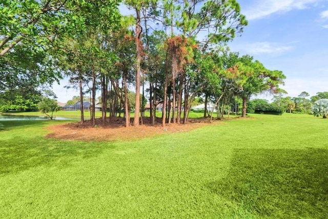 view of yard with a water view