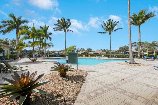 view of pool featuring a patio area