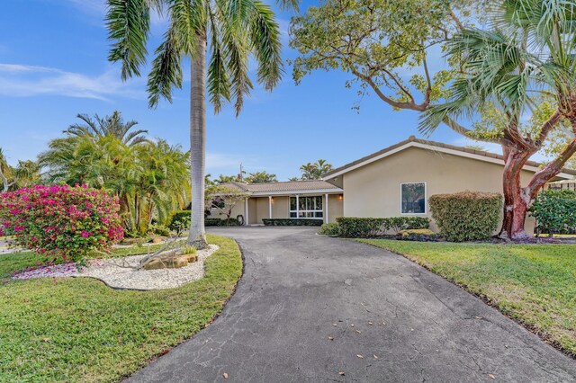 ranch-style house featuring a front yard