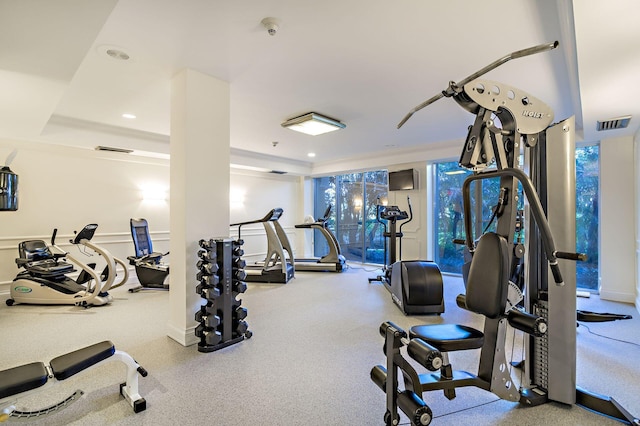 exercise room with a raised ceiling