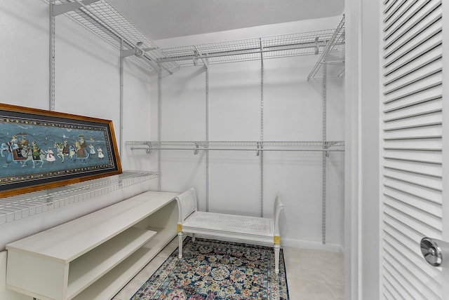 view of spacious closet