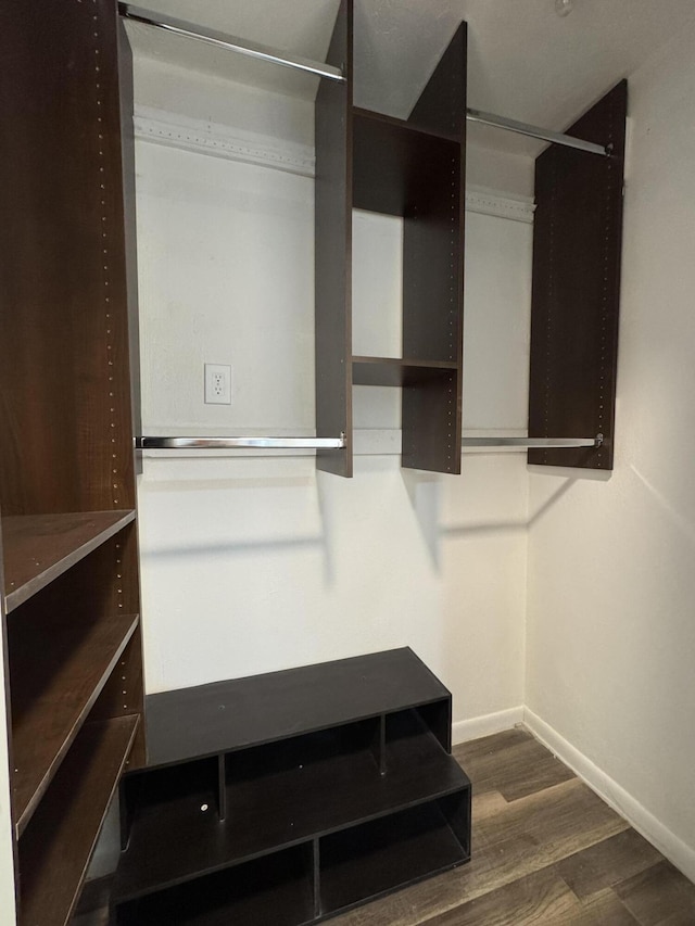 walk in closet with dark hardwood / wood-style flooring