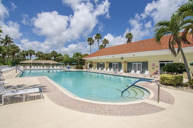 view of pool featuring a patio