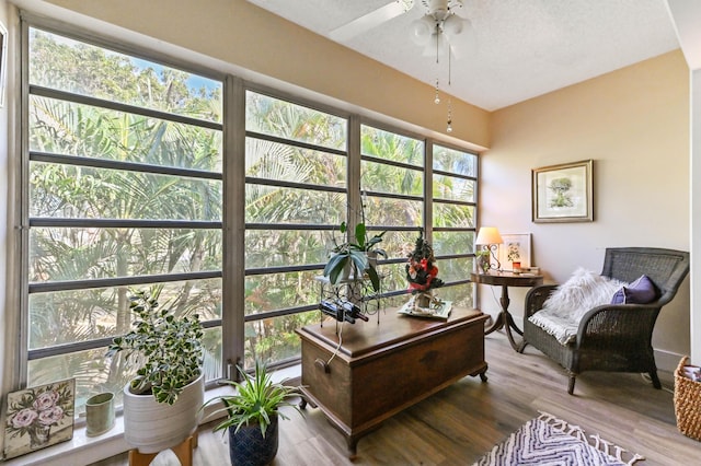 office space with ceiling fan, hardwood / wood-style floors, and a textured ceiling