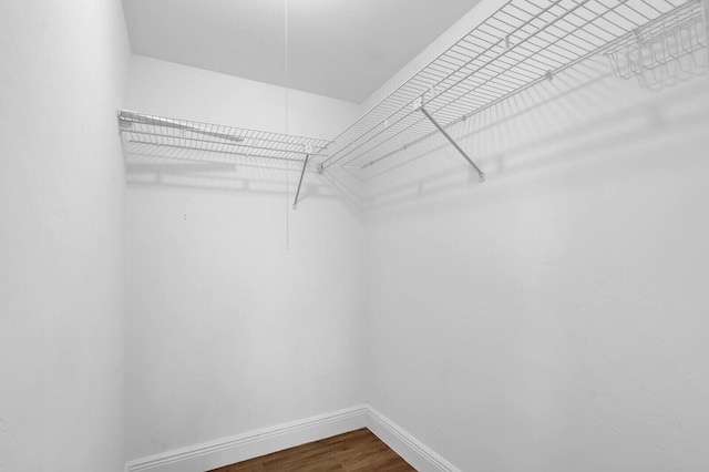 walk in closet with hardwood / wood-style floors