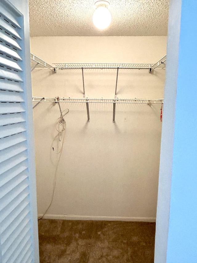 spacious closet with dark colored carpet