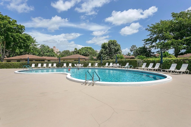 view of pool featuring a patio