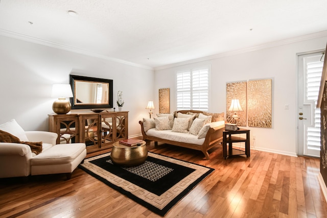 living room featuring hardwood / wood-style floors and ornamental molding