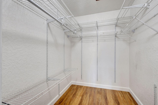 walk in closet featuring hardwood / wood-style flooring