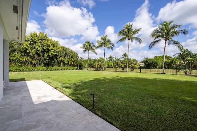 view of yard featuring a patio area