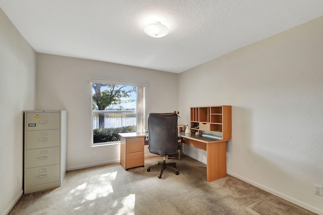 carpeted office space with a textured ceiling