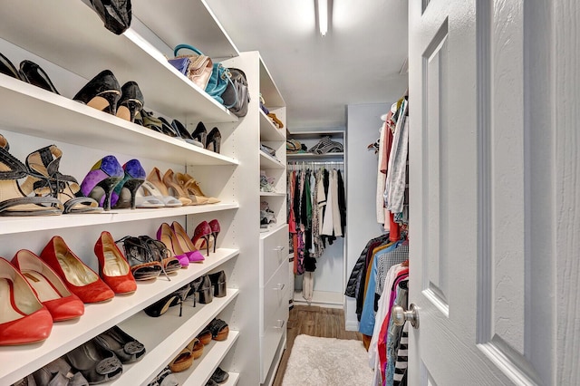 walk in closet with hardwood / wood-style flooring