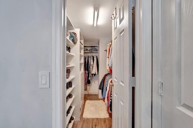 spacious closet with light hardwood / wood-style flooring