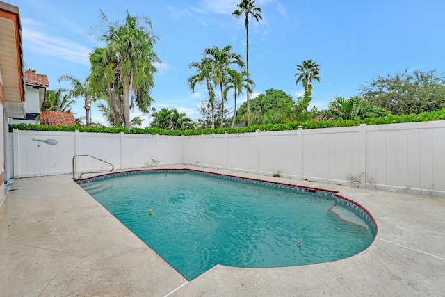 view of pool with a patio, a fenced backyard, and a fenced in pool