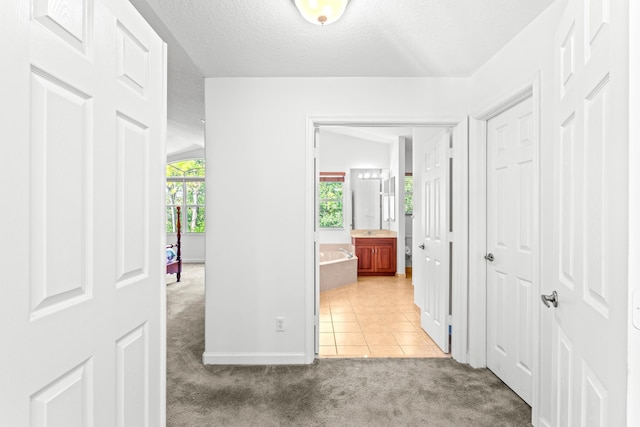 hallway with lofted ceiling, carpet floors, a healthy amount of sunlight, and a textured ceiling