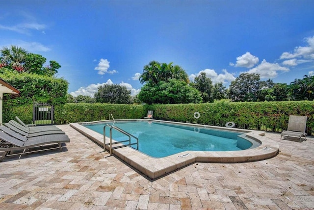 view of swimming pool with a patio