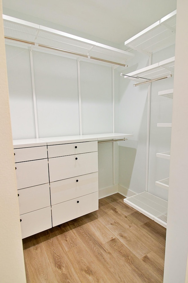 spacious closet with light wood-type flooring