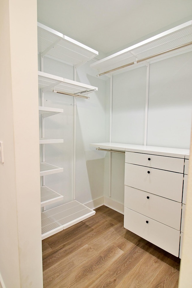 spacious closet with light wood-type flooring