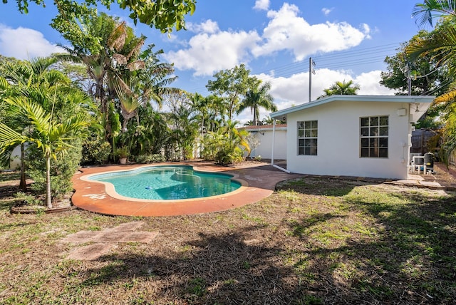 view of swimming pool featuring a patio