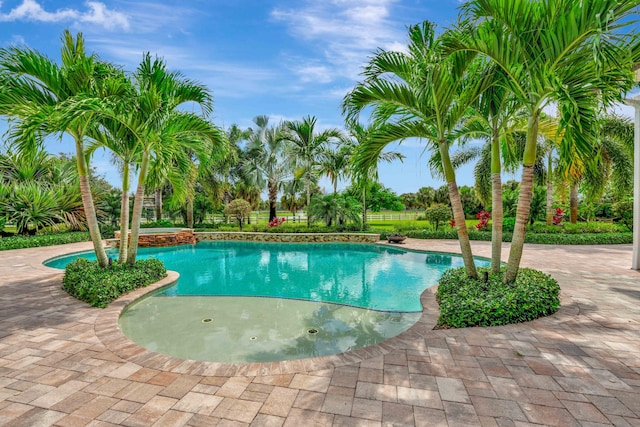 view of pool with a patio area