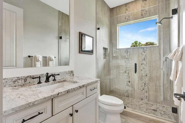 bathroom featuring vanity, toilet, and a shower with shower door