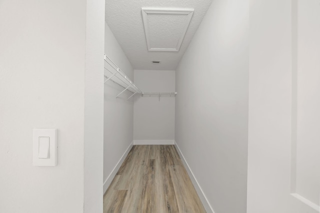 spacious closet featuring wood-type flooring