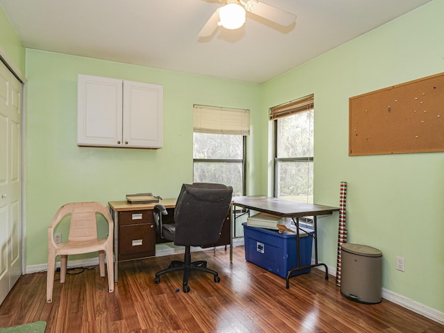 office featuring ceiling fan and dark hardwood / wood-style floors