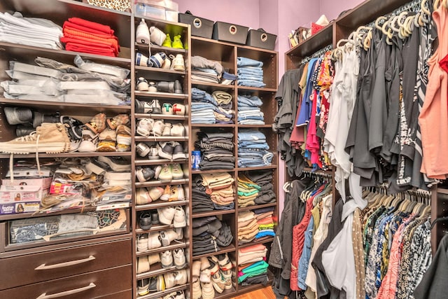 spacious closet with hardwood / wood-style flooring