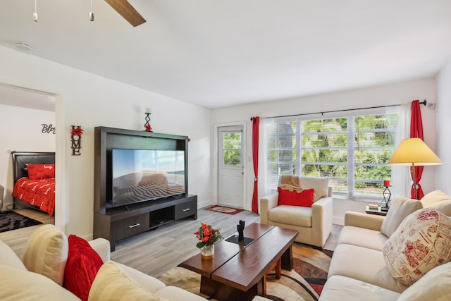 living room with ceiling fan and light hardwood / wood-style floors