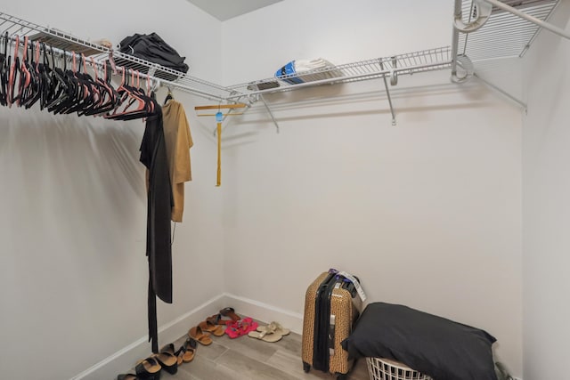 spacious closet with hardwood / wood-style flooring