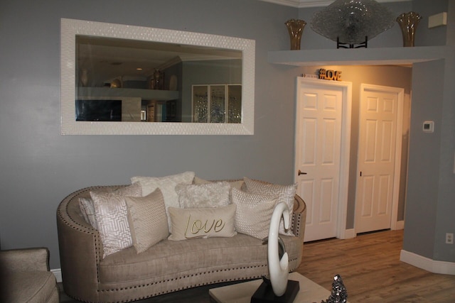 living room with wood-type flooring and crown molding