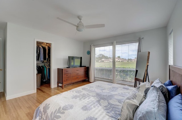 bedroom featuring ceiling fan, a walk in closet, a closet, and light hardwood / wood-style floors