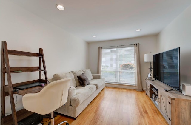 living room featuring light hardwood / wood-style flooring