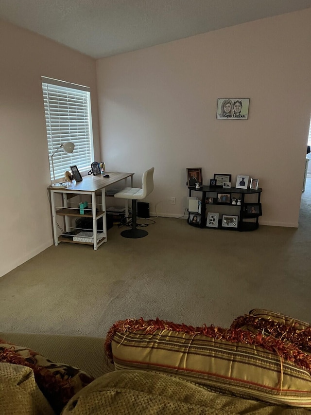 interior space with carpet flooring