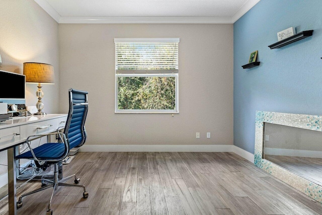 office featuring light hardwood / wood-style floors and ornamental molding