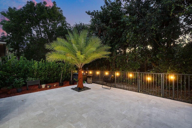 view of patio / terrace with grilling area