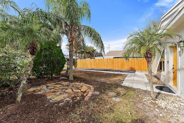 view of yard featuring a patio area