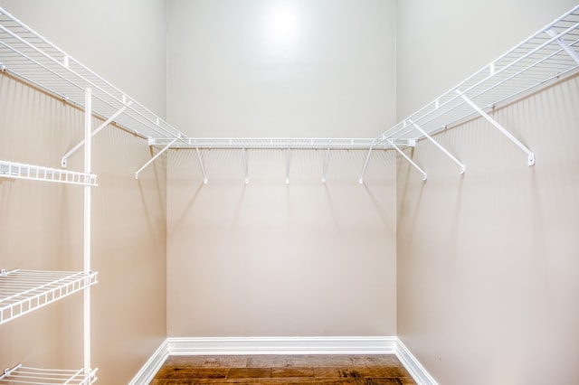 walk in closet featuring wood finished floors