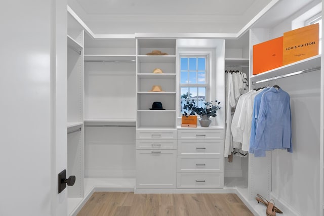 spacious closet featuring light hardwood / wood-style flooring