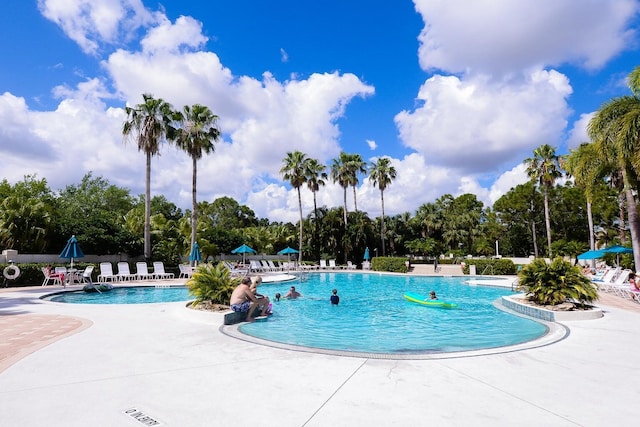 view of pool with a patio