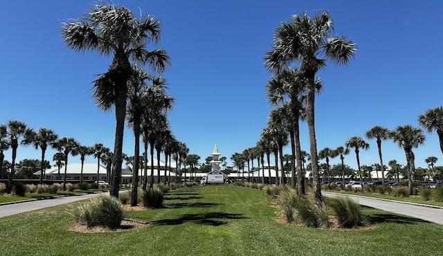 view of community featuring a yard