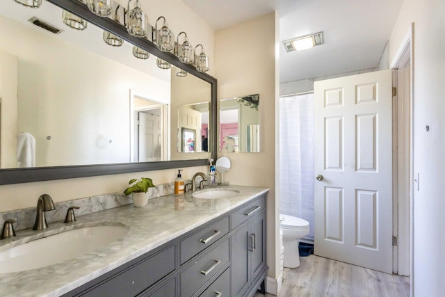 bathroom with wood-type flooring, vanity, and toilet