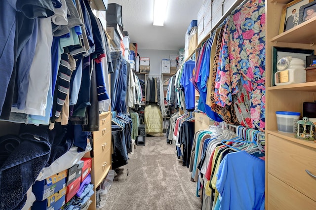 walk in closet with light colored carpet