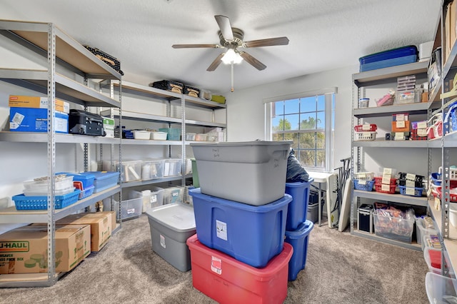 storage room featuring ceiling fan