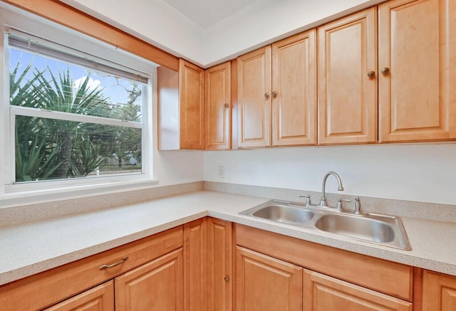 kitchen with sink