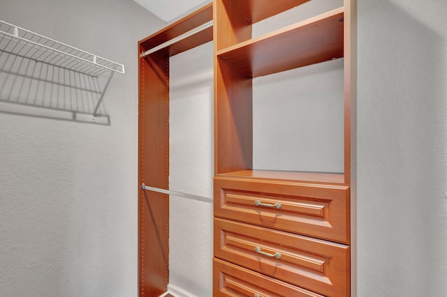 view of spacious closet