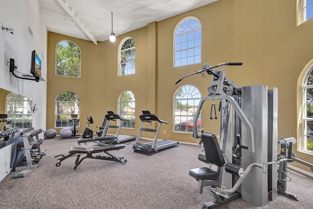 exercise room with plenty of natural light and baseboards