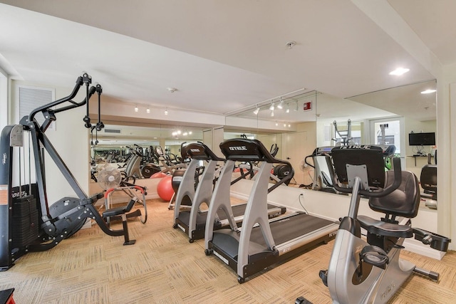 gym with light carpet