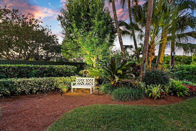 view of yard at dusk